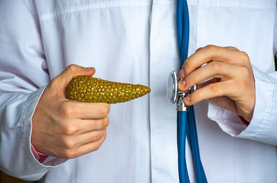 Foto conceptual del diagnóstico en gastroenterología. El médico sostiene en una mano el modelo de páncreas humano, en otro estetoscopio y lleva a cabo el proceso de diagnóstico y la presencia de enfermedades de la glándula del páncreas, diabetes